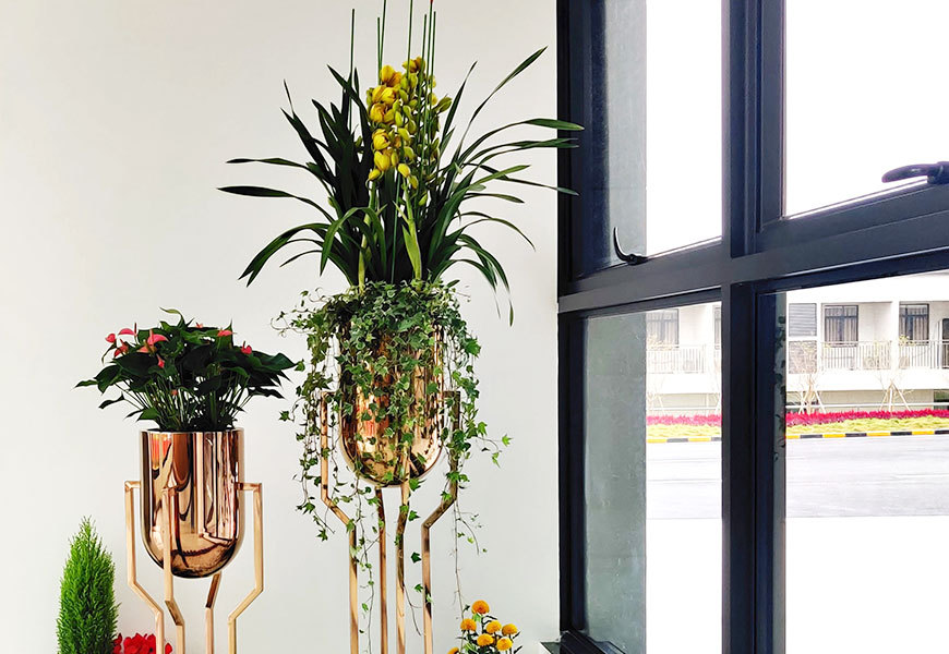 绿植租赁_绿化保养_园林设计_园林施工_广州顶绿园林绿化有限公司